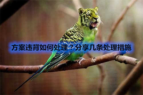 方案違背如何處理？分享幾條處理措施