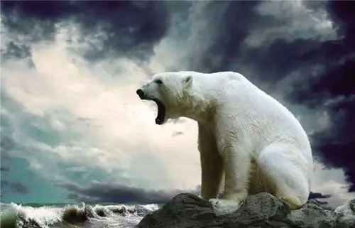 第二類醫(yī)療器械生產(chǎn)許可證很難申請嗎？(圖1)