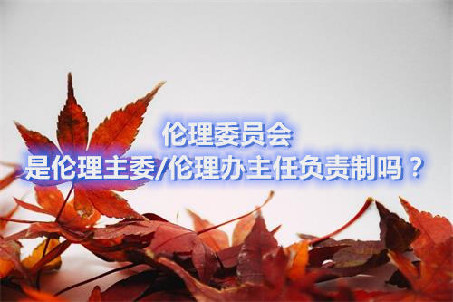 倫理委員會(huì)是倫理主委/倫理辦主任負(fù)責(zé)制嗎？(圖1)