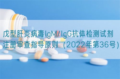 戊型肝炎病毒IgM/IgG抗體檢測試劑注冊審查指導(dǎo)原則（2022年第36號）(圖1)