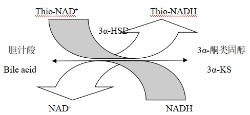 總膽汁酸測定試劑注冊技術(shù)審查指導(dǎo)原則(2020年第14號(hào))(圖1) 總膽汁酸測定試劑注冊技術(shù)審查指導(dǎo)原則(2020年第14號(hào))(圖1)