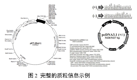 重組人源化膠原蛋白原材料評(píng)價(jià)指導(dǎo)原則(2023年第16號(hào))(圖6) 重組人源化膠原蛋白原材料評(píng)價(jià)指導(dǎo)原則(2023年第16號(hào))(圖6)