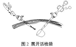 一次性使用內(nèi)窺鏡用活檢袋注冊審查指導(dǎo)原則(2025年第20號)(圖2) 一次性使用內(nèi)窺鏡用活檢袋注冊審查指導(dǎo)原則(2025年第20號)(圖2)