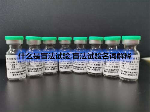 臨床試驗盲法試驗名詞解釋-什么情況下可以揭盲？