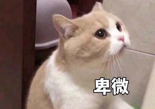 無(wú)經(jīng)驗(yàn)怎么入行CRA？入行CRA的硬性條件有哪些？(圖3)