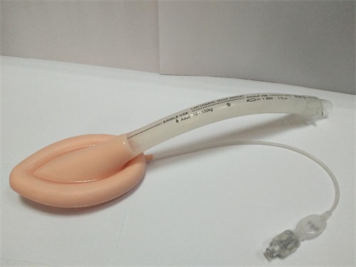 一次性使用醫(yī)用喉罩注冊技術(shù)審查指導原則(2018年修訂)(2018年第107號)(圖1) 一次性使用醫(yī)用喉罩注冊技術(shù)審查指導原則(2018年修訂)(2018年第107號)(圖1)