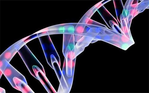 生物相容性是什么意思？怎么判斷醫(yī)療器械要做哪些生物相容性測試項目？(圖1)