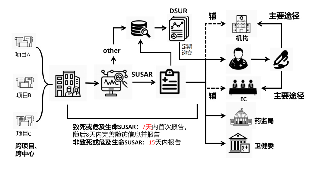 臨床試驗安全性事件如何上報？臨床試驗不良事件上報流程圖(圖3)