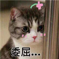 實(shí)驗(yàn)室原始記錄從哪里下手開(kāi)始檢查？(圖2)